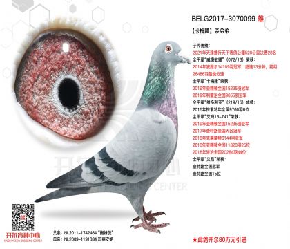 2����-3070099