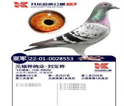 2����-0028553