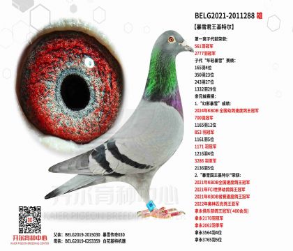 2����BELG2021-2011288