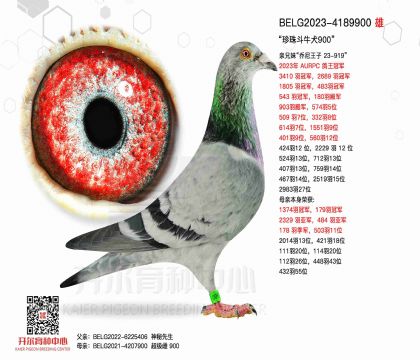 2父亲BELG2023-4189900