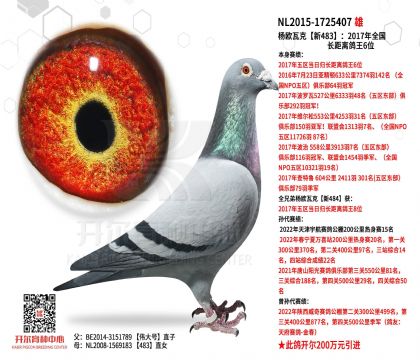 2����-1725407