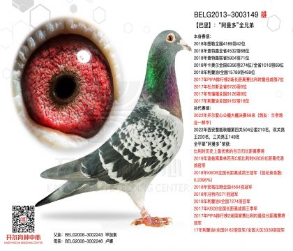 2����BELG2013-3003149