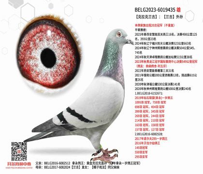 2����BELG2023-6019435