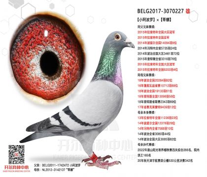 2����17-3070227