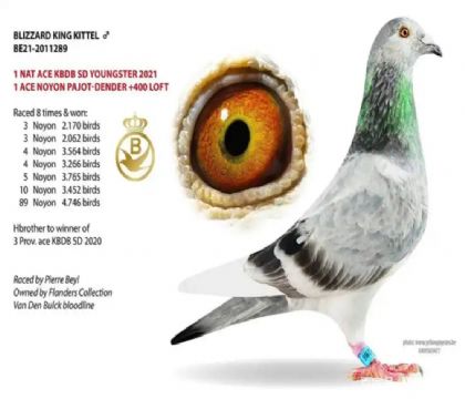 3-��ѩ�������ض�2011289