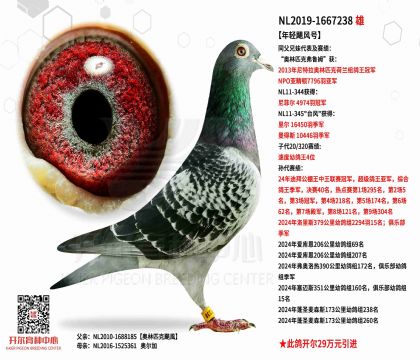 3外祖父NL2019-1667238