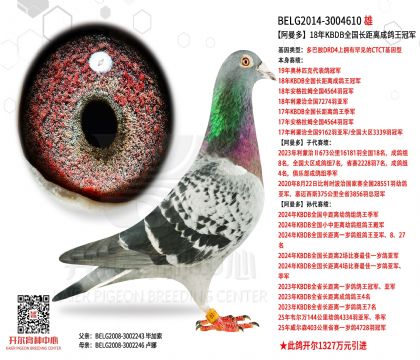 3���游BELG2014-3004610