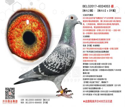 3ĸ��BELG2017-6024053