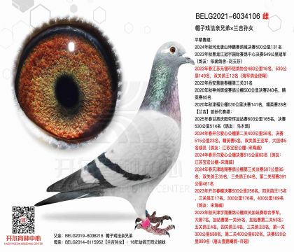 3ĸ��BELG2021-6034106