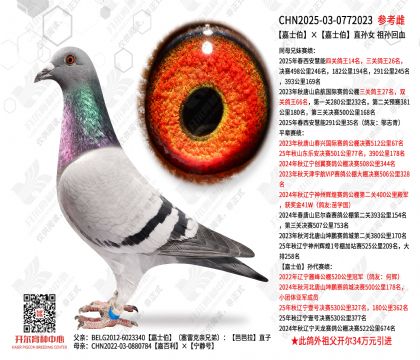 ��ʿ������ʿ��ֱ��Ů �����Ѫ