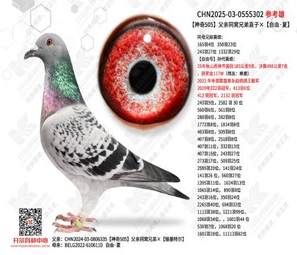 ����505����ͬ���ֵ�ֱ�ӡ����ɡ���