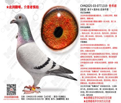 ����ֱ�ӡ�ֱ��Ů ��������