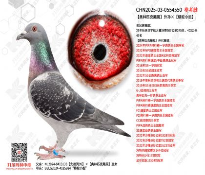 ����ƥ���Z�L���������С��