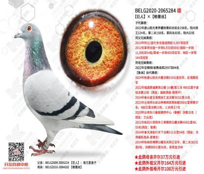 ���ˡ�����˿