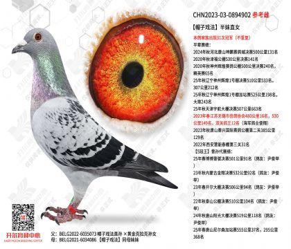 ñ��Ϸ������ֱŮ