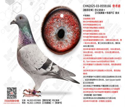 ī�ƶ���ͬ���ܵܡ���������ġ���ϲ�š�ֱŮ