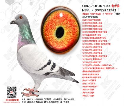 С�������ú���ֵ�˫����Ů