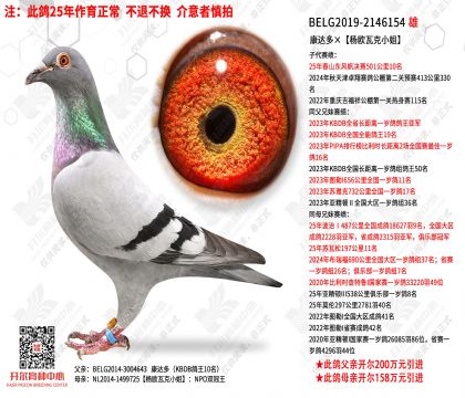 ��������ŷ�߿�С��