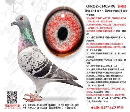 ���𺳺�ֱ����ƽ��½�ķ887ֱŮ