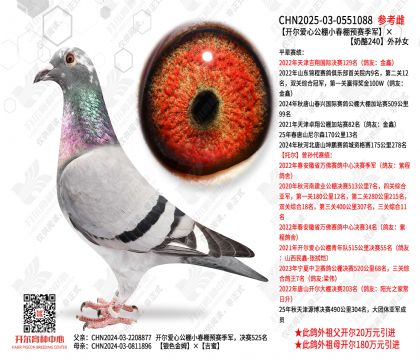 �������Ĺ���С����Ԥ������������240����Ů