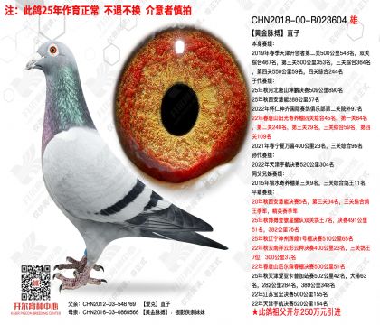 �ƽ�����ֱ��