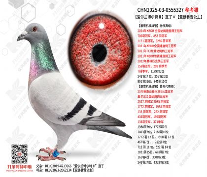 �����������آ�ֱ�ӡ���ɪ��ѩ����