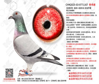 ������š�ֱ���ֱ��Ů  ��������