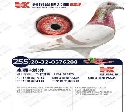 �����������255�������ظ���27�����Ƹ룩