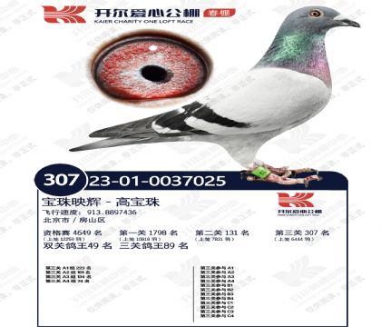 �������Ĺ���������307�����۸룩