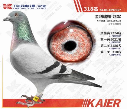 �������Ĺ���������318�����Ƹ룩