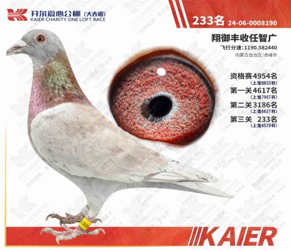 �������Ĺ���������233�����۸룩