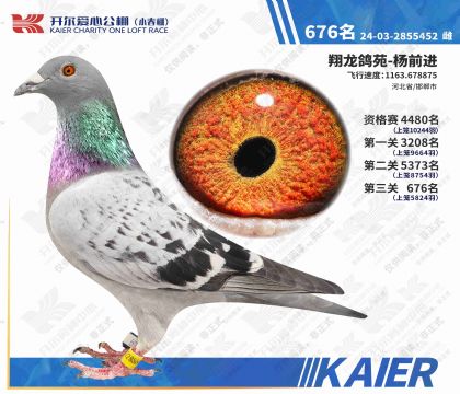 �������Ĺ��С�������676�����Ƹ룩