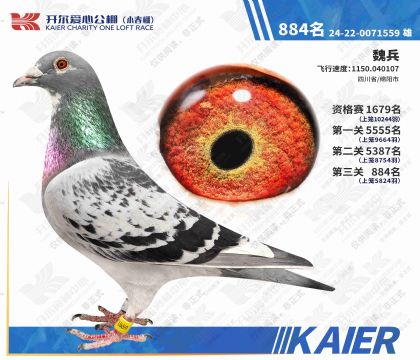 �������Ĺ��С�������884�����۸룩