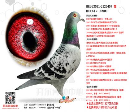 2����BELG2021-2125407