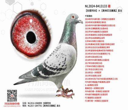 2����-8413133