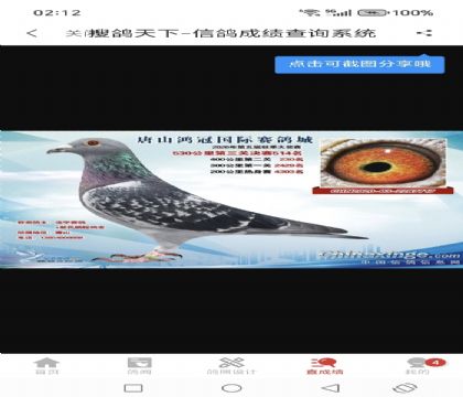 �����������޵�