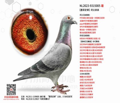 2父亲NL2023-9315005