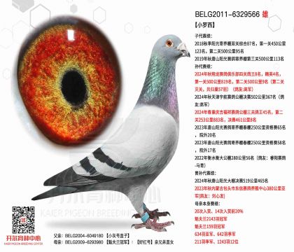 2父亲BELG2011-6329566