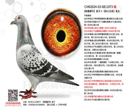 2����-0811073