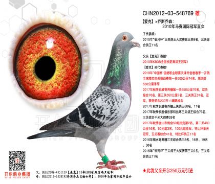 2����CHN2012-03-548769