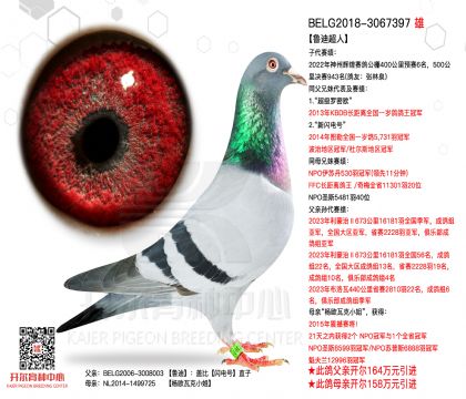 2����-3067397