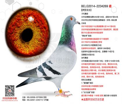 3ĸ��BELG2014-2234269