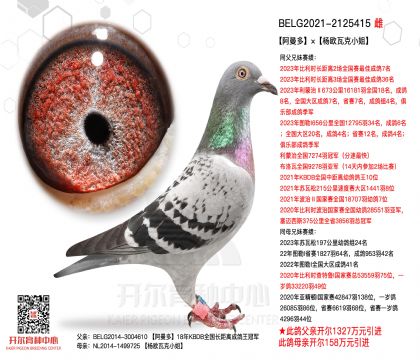 3母亲BELG2021-2125415