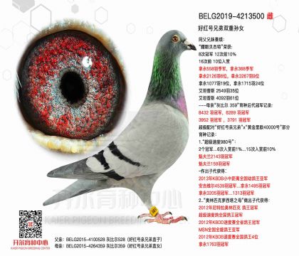 3母亲BELG2019-4213500