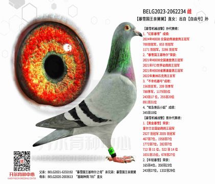 3ĸ��BELG2023-2062234
