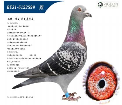 �Ͽ˷����������޵н��ף������ִƣ�������