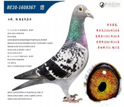 �����˹����ֱ����ֱŮ