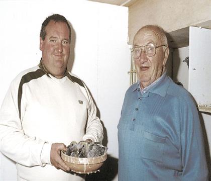 �����˸���