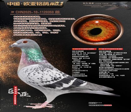 ����ԭ��������855X�Ͽ�������������019