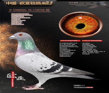 ����ԭ��851X003